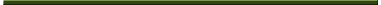 Fishing Blitz Directory